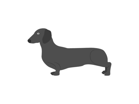 Dachshund Dog Animal: A Playful Design Asset for Every Creator