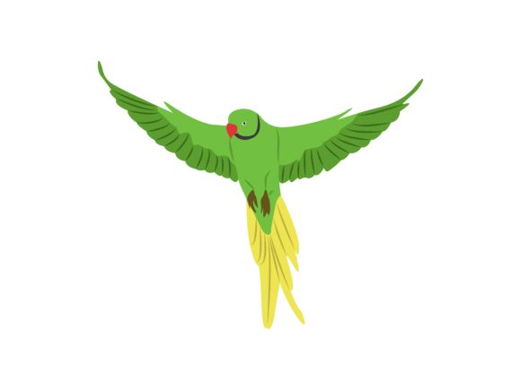 Flaying Plan Parakeet Bird Animal: A Designer's Delight