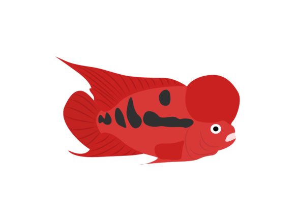 Lou Han Fish Animal: A Designer's Guide to This Unique Asset
