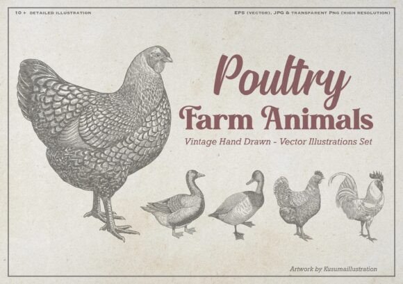Timeless Charm: Poultry Farm Animal Vintage Illustration